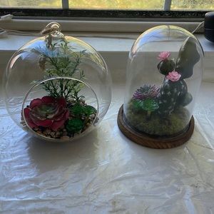 Glass terrariums with faux succulents‎